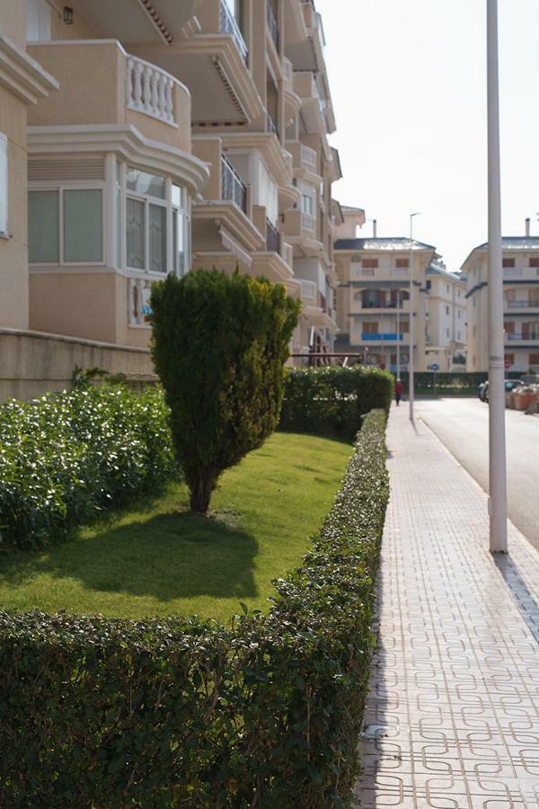 Apartment Sunny La Mata La Mata  Exterior photo